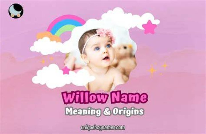 13 Names That Mean Willow