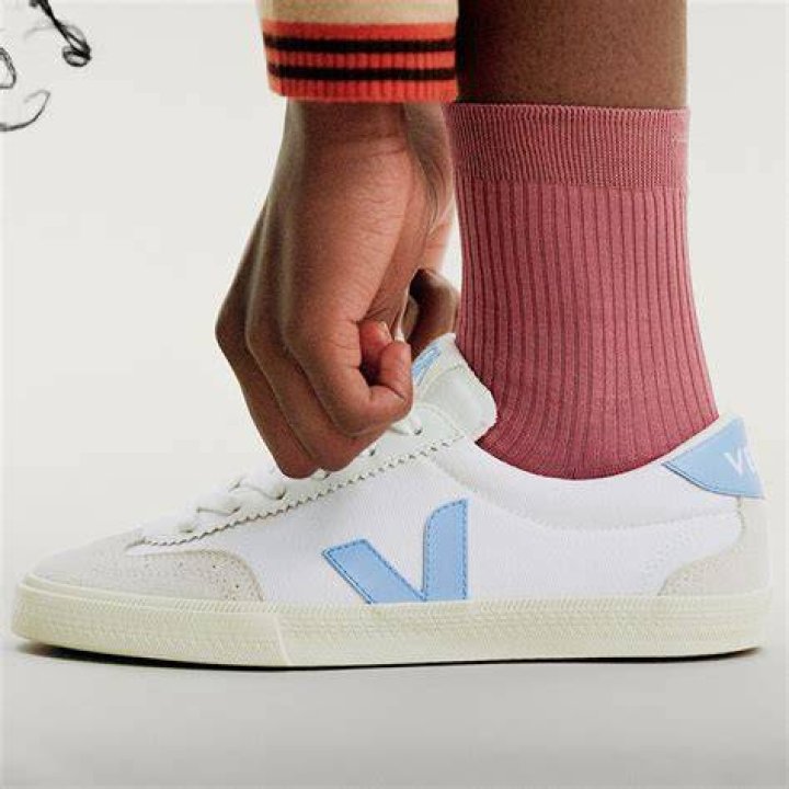 A Veja sneaker with red and blue accents