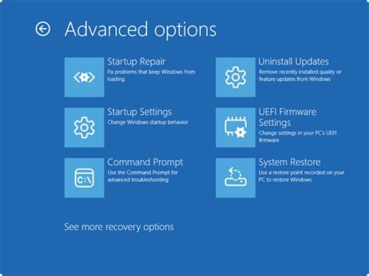 Advanced options in updates- WSL error