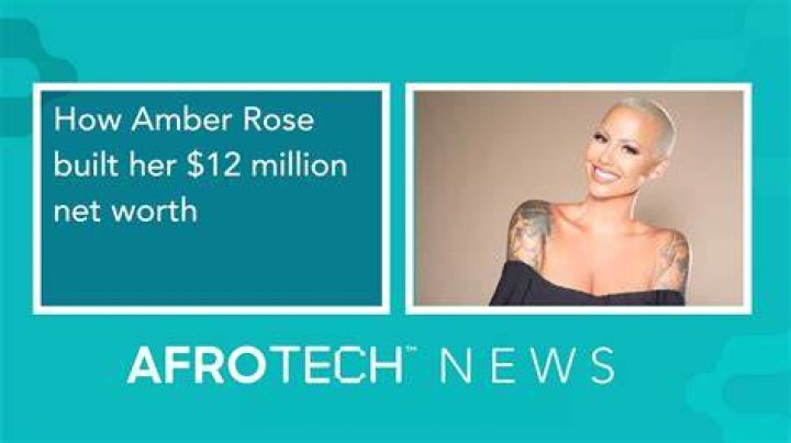 amber rose net worth amber rose net worth