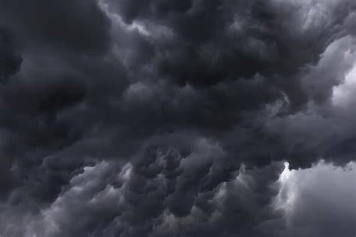 An image of dark clouds behind some trees.