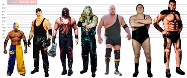 Andre the Giant Height