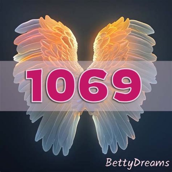 angel number 1069