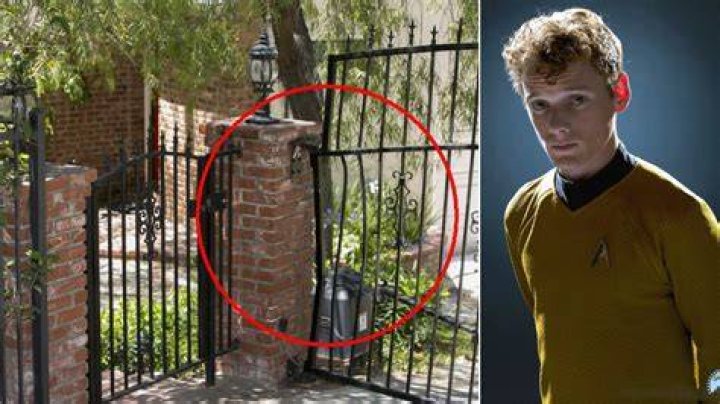 Anton Yelchin