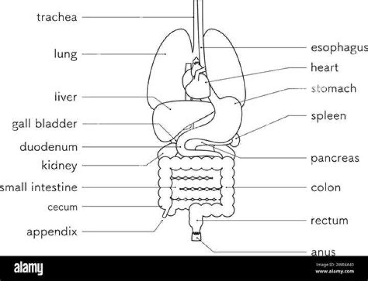Appendix:Black 2 and White 2 walkthrough/Section 9