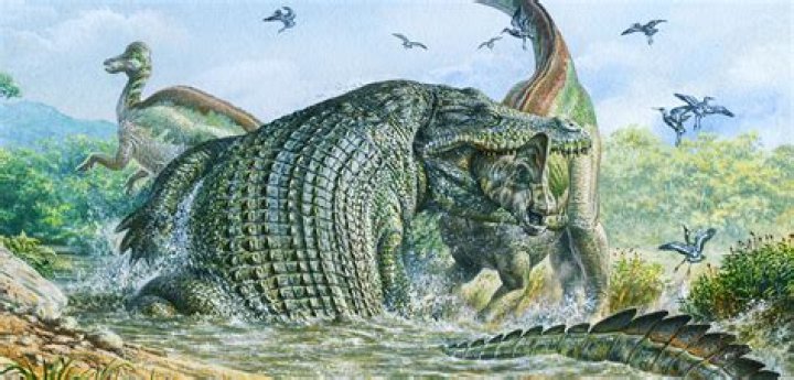 Are Alligators Dinosaurs