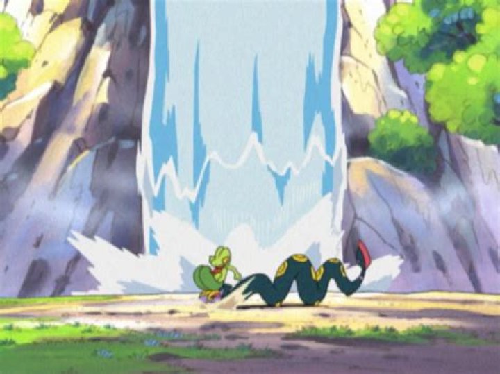 Ash Treecko Spinning Descent Pound 1.png