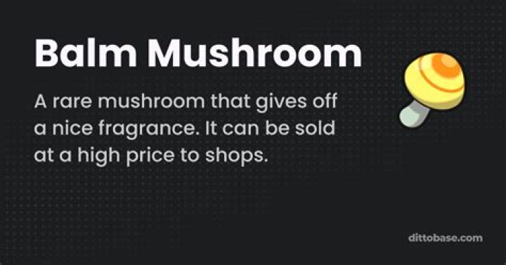 Balm Mushroom