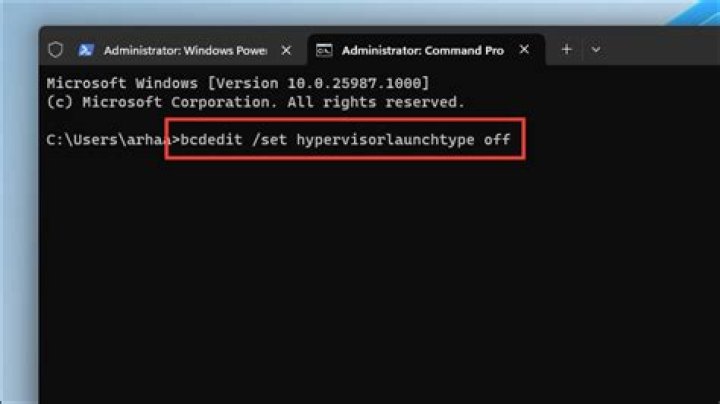 powershell bcdedit bcdedit /set hypervisorlaunchtype off raw-mode is unavailable