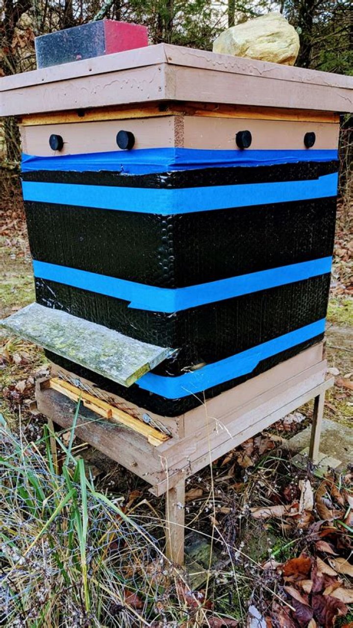 Bee Source Forums – Latest Beesource News, Trends, and Threads