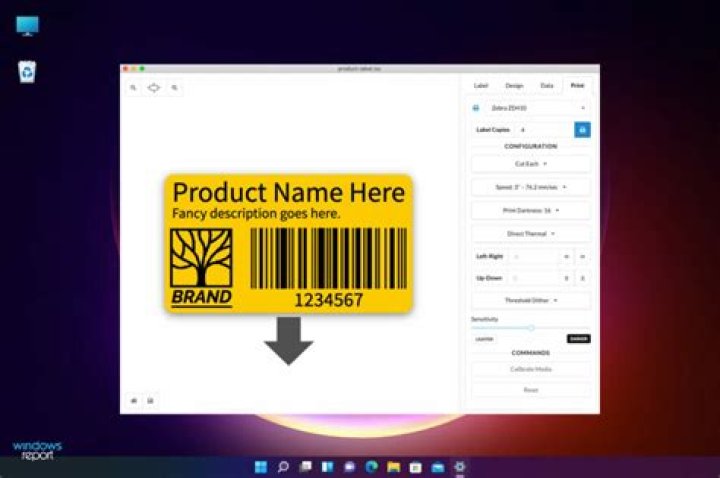 Best Zebra label printing software
