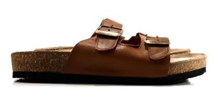 birk2