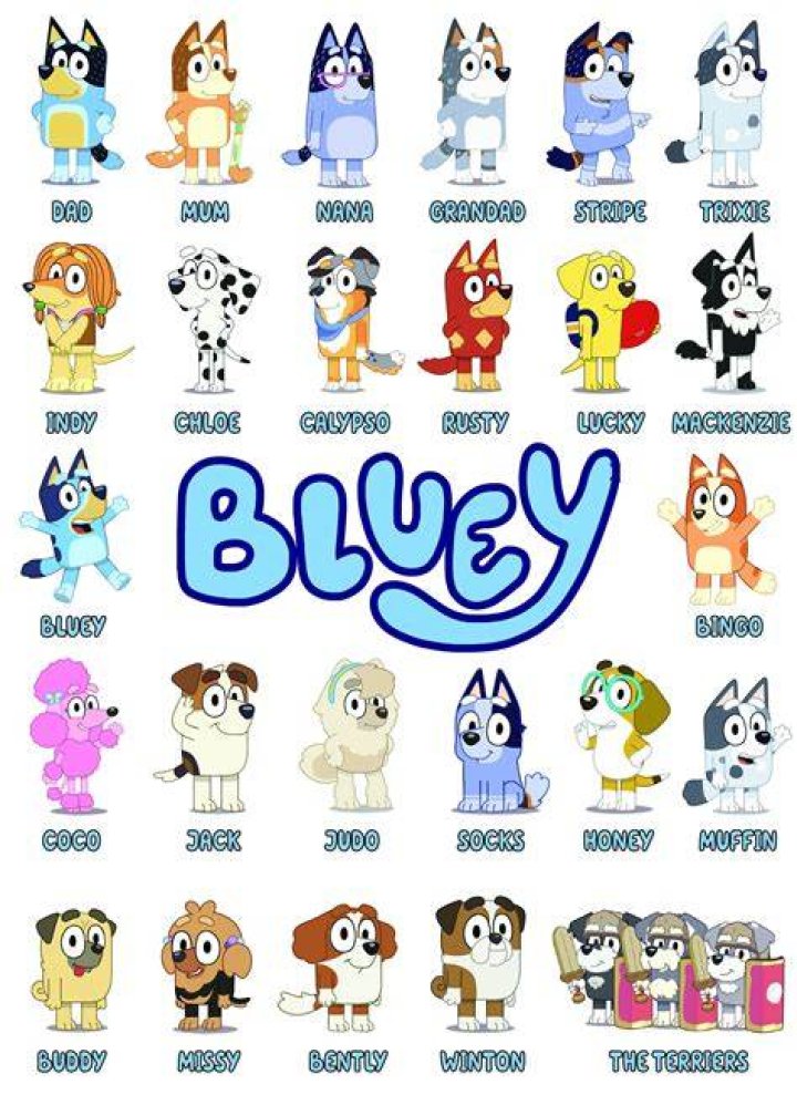 bluey characters bluey characters