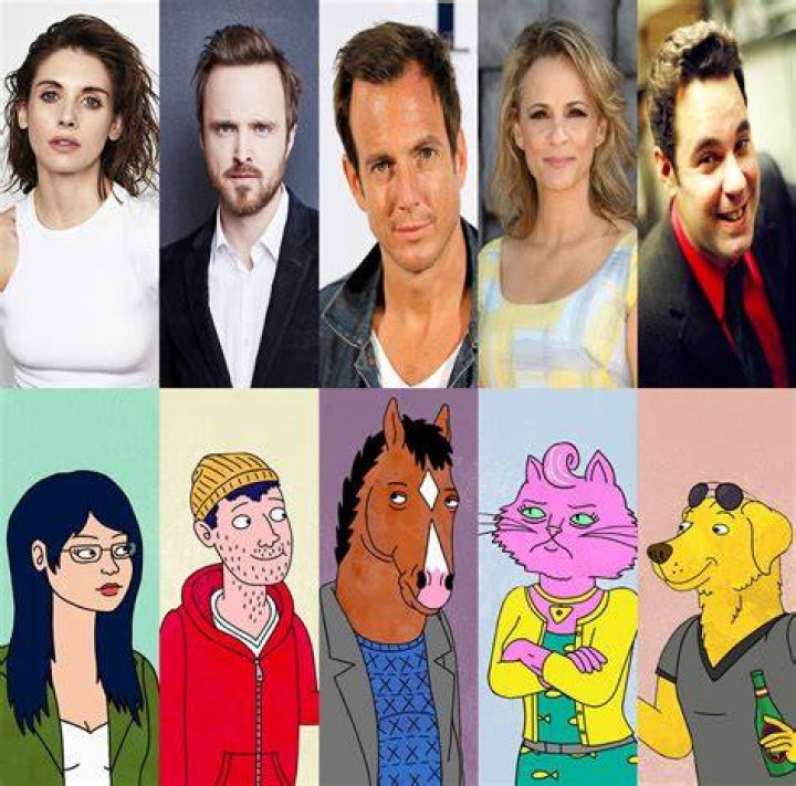 bojack horseman cast net worth bojack horseman cast net worth