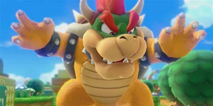 Bowser Bowser