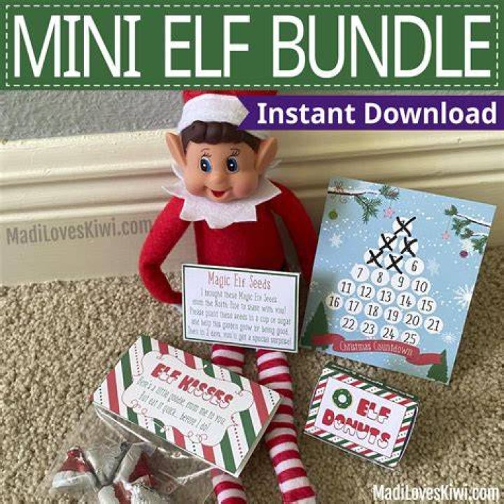 Brownie/House Elf