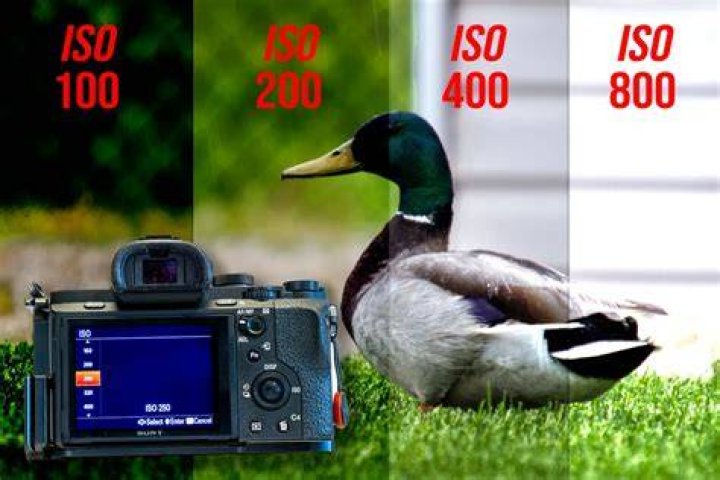 Camera AE/AF Latency (Shooting ISO 12233 Target)
