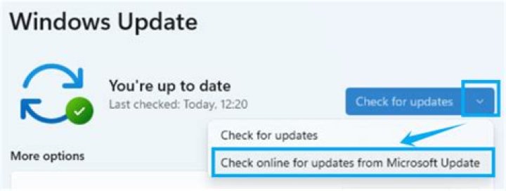 Check for updates to fix error code 31