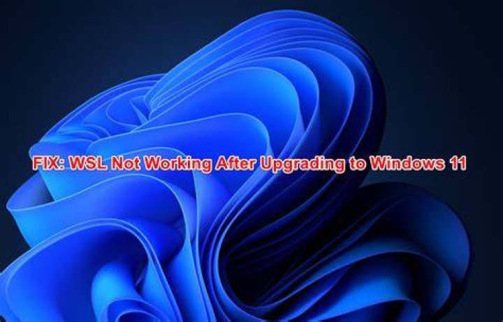 Checking Virtualization to adress WSL error on Windows 11