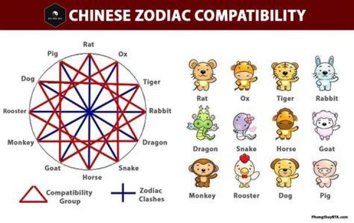 Chinese Snake Pig Compatibility. In a snake pig relationship both might have issues when it comes to communicating with each other effectively.