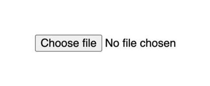 choose file button
