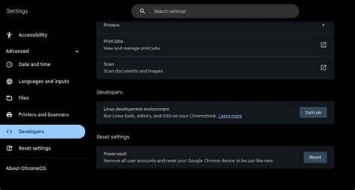 Chromebook Developer settings Chromebook Developer settings