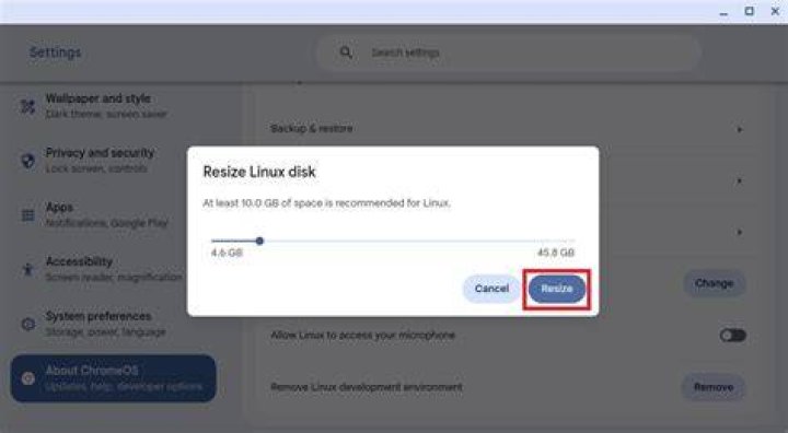 Chromebook Linux disk size Chromebook Linux disk size