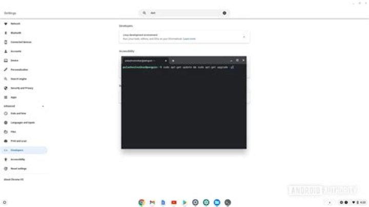 Chromebook Linux terminal update Chromebook Linux terminal update