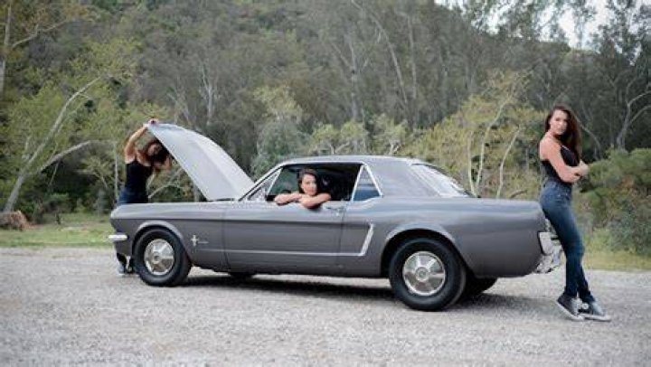 Constance Nunes Mustang Constance Nunes Mustang