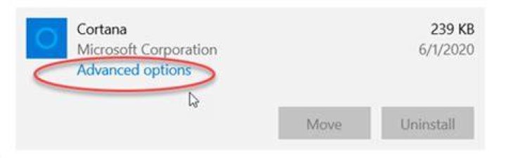 Cortana advanced options