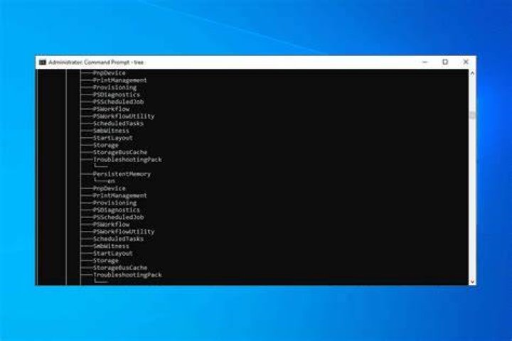create script windows update reset script