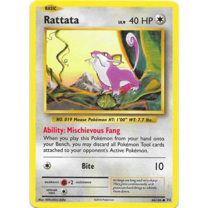 Day/Evening (Rattata)
