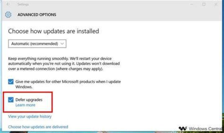 defer windows updates