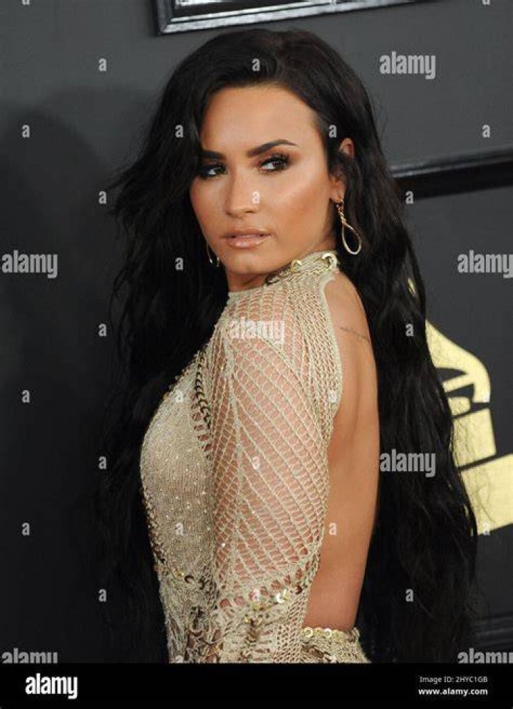 Demi Lovato Debuts Extensions At 2017 Grammys