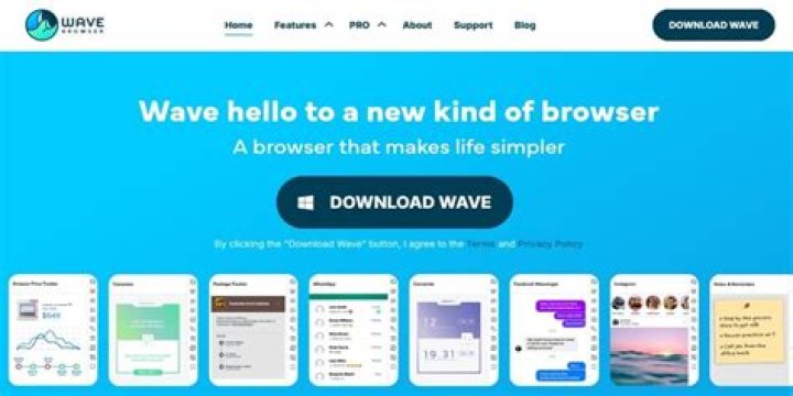 details what is wave browser