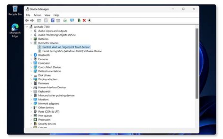 device manager windows 11 realtek audio driver