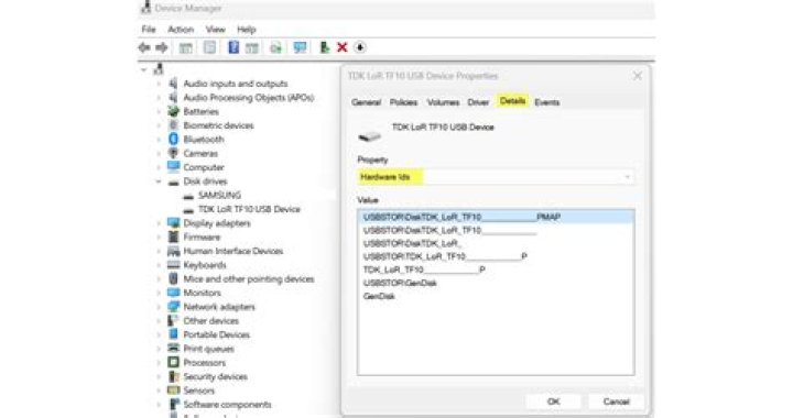 device-manager