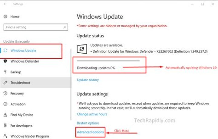 disable windows update