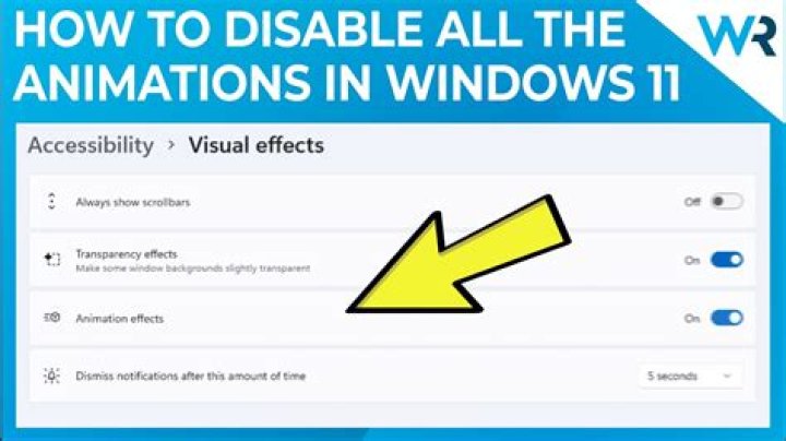 disable-animation disable animations windows 11