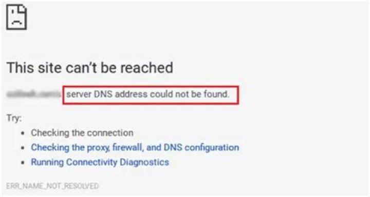 dns error