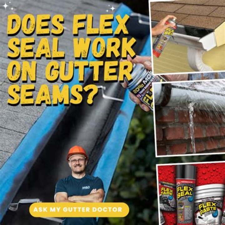 Does Flex Seal really work?
