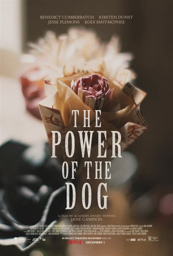 Dog DVD Release Date Redbox, Netflix, iTunes, Amazon
