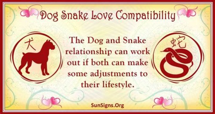 dog snake compatibility