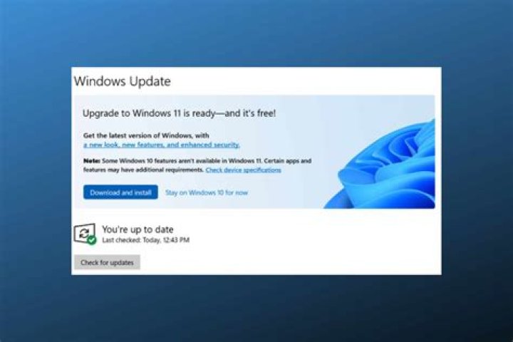Download, update & setup guide