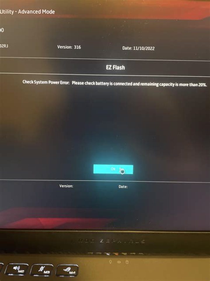 Downloading BIOS