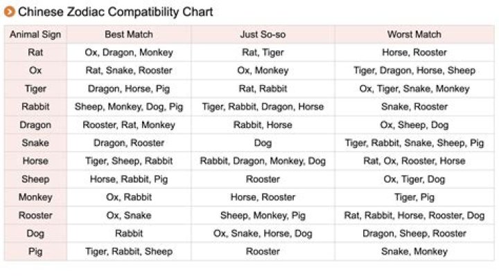 dragon dog compatibility