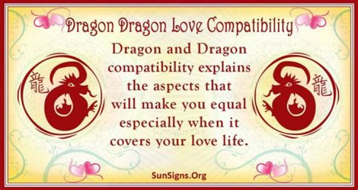 dragon dragon compatibilit