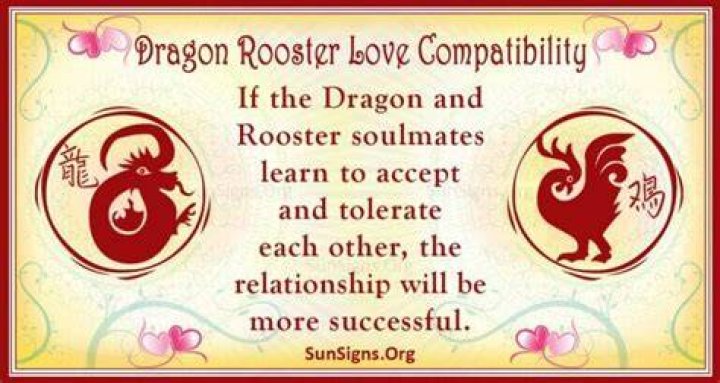 dragon rooster compatibility