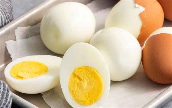 Egg