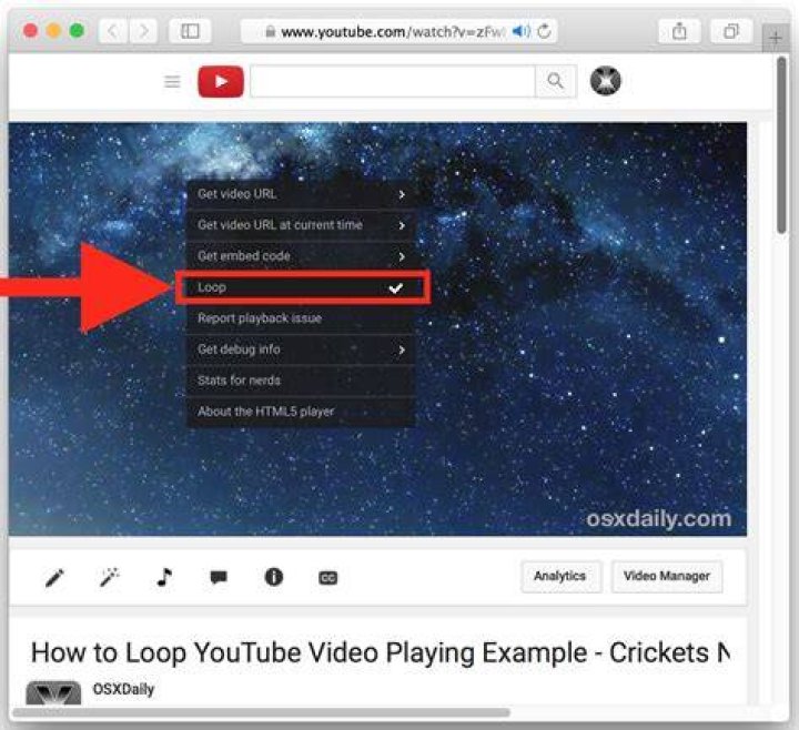 enable loop on the video in obs studio